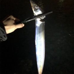 連日のタッチ〜チャレンジ