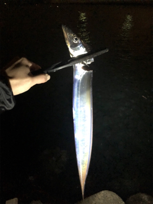 連日のタッチ〜チャレンジ