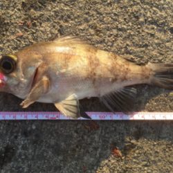 強風で寒かったです