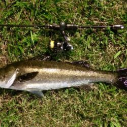 休息メバリング不成立1805〜1835