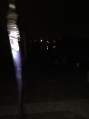 極寒の中でタチウオ