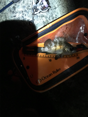 そろそろメバリング