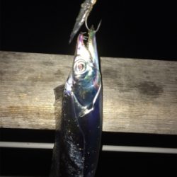 ドラゴン現れず