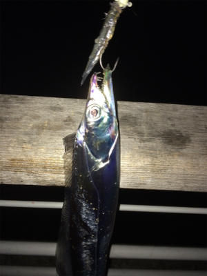 ドラゴン現れず