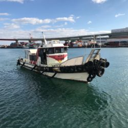 ライトワインドに初挑戦