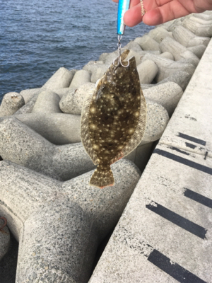 釣り納めでまさかの…