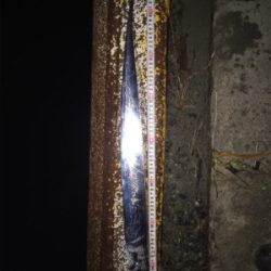 くわえてるだけ