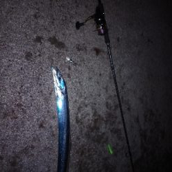 昨日のリベンジ