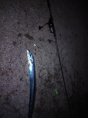 昨日のリベンジ