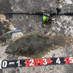 フラット狙いで