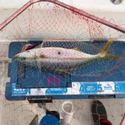 今年最後のマイボート 釣行