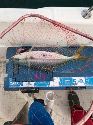 今年最後のマイボート 釣行