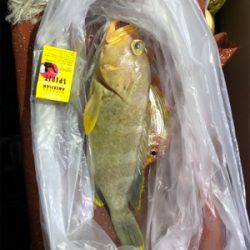 ディープタイラバ?!