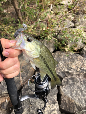 渋かった寒かった日