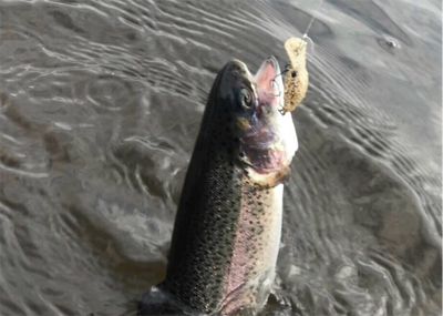 幼稚園児ルアー初釣果