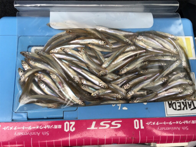 初めてのワカサギ