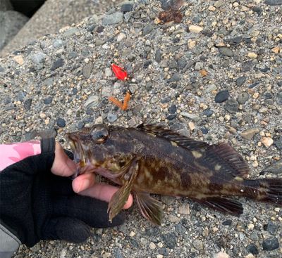 穴釣りチャレンジ♪