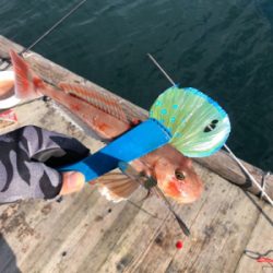 初めての筏釣り