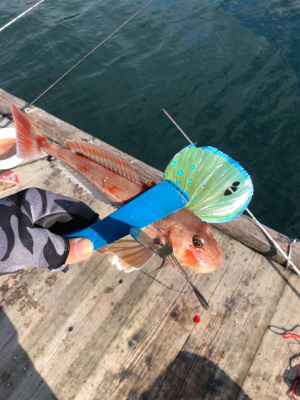 初めての筏釣り