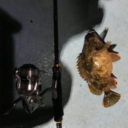 樋島ランガンリベンジ