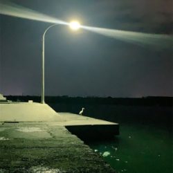 メバリング サイズアップ!