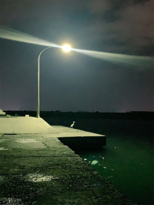 メバリング サイズアップ!