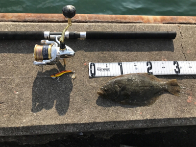 魚種限定解除！