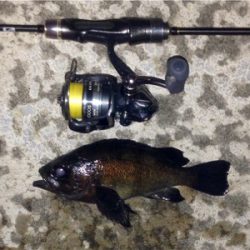 メバリンガー1815〜1925