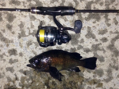 メバリンガー1815〜1925