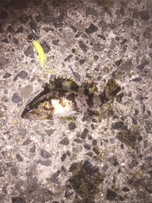 また仕事終わりに行ってしまいました