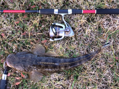 LSJigginger1600〜1715