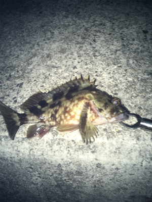 色々とかかるが、、、