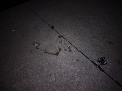 引き釣りテンヤでミラクル発生