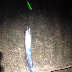 諦め悪いタッチーチャレンジ(^^)