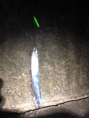 諦め悪いタッチーチャレンジ(^^)