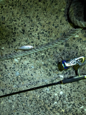 ナイトアジング