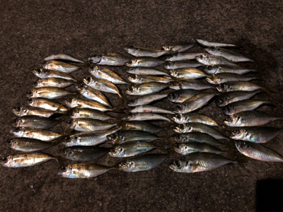 アジングプラクティス