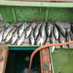 孝洋丸 落とし込み