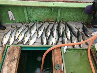 孝洋丸 落とし込み