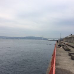 お正月用真鯛チャレンジ