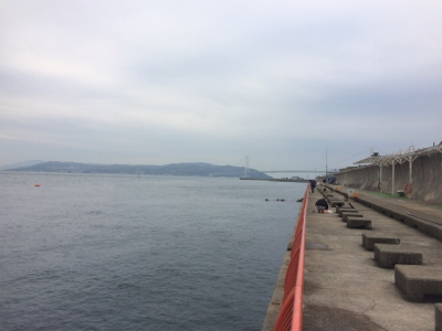 お正月用真鯛チャレンジ