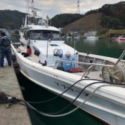 本年度ラストイカメタル