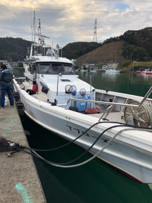 本年度ラストイカメタル