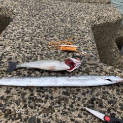 何とか釣れました