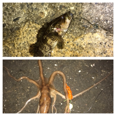 癒しのライトゲーム七目達成