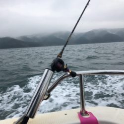 冬でもタイラバ面白い