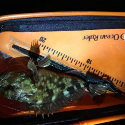 ライトゲーム日和