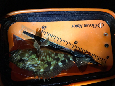 ライトゲーム日和