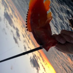 望月ハードロック