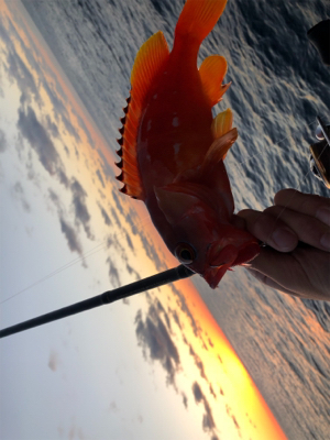 望月ハードロック